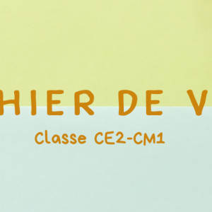 cahier de vie